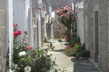 Fototapeta premium Korsyka. Cmentarz marynarzy w Bonifacio