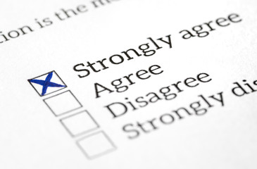 Agree box checked in opinion poll, survey and questionnaire. Happy and positive answer in politics or human resources employee feedback or experience research. Checkbox and checklist with check mark.