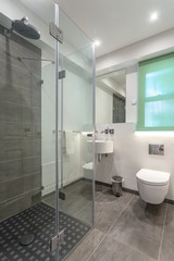 Naklejka na ściany i meble Modern bathroom shower room with toilet and amenities.