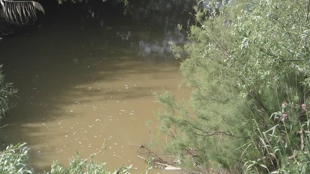 The Biblical Kishon stream and HaAmakim park in northern Israel, where the prophets of Baal and Canaanite army were executed on Elijah's orders.