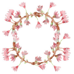 Spring composition, wreath, painted with watercolor, of delicate pink flowers, green leaves and branches, Sakura, cherry blossom, almond flowers isolated on a white background,