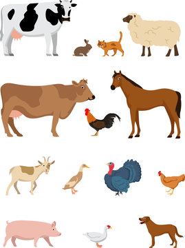 Set of cute farm animals isolated on white background