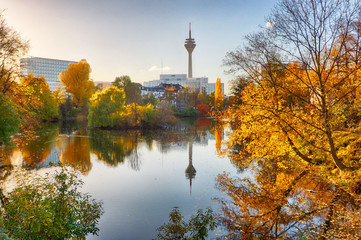 Herbst im Schwanenspiegel-Park in Düsseldorf