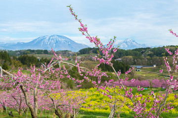 長野県　丹霞郷
