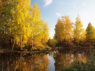 Fototapeta na wymiar Autumn park, trees, river bay. Russian autumn nature. Russia, Ural, Perm region