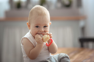 Baby first teeth gnaws fruit in safe device, food