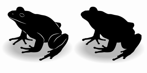 silhouette of a frog , vector drawing