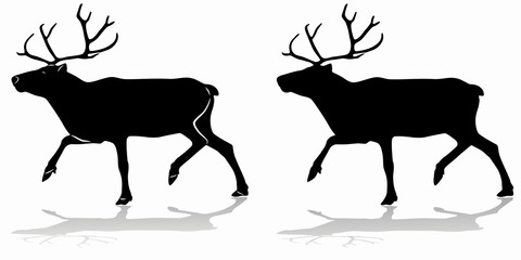 silhouette of a reindeer , vector drawing