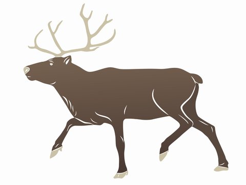 illustration of a reindeer , vector drawing