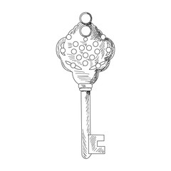 white background, sketch of a beautiful key