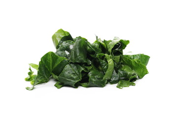Fresh spinach leaves isolated on white background
