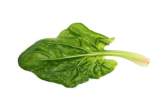 Fresh spinach leaf isolated on white background, top view