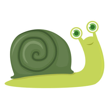 Vector illustration of big snail