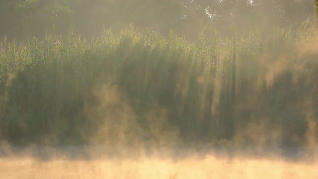 Fog over lake surface is flowing with stunning light on the background in the morning