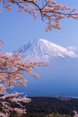 桜と富士山と青空