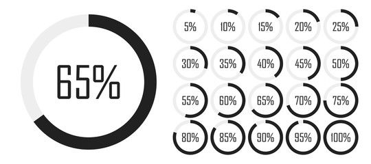 Set of circle percentage diagrams from 0 to 100 for infographics, lignt, 5 10 15 20 25 30 35 40 45 50 55 60 65 70 75 80 85 90 95 percent. Vector illustration - obrazy, fototapety, plakaty
