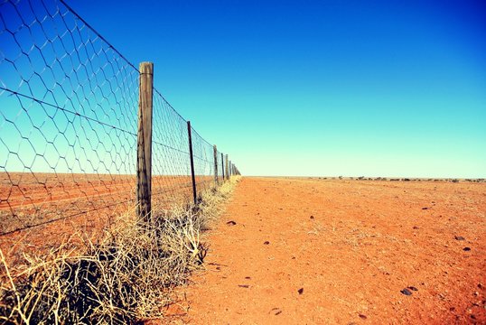 Dingo fence in the Australian outback