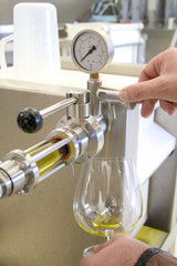 Ecological extra virgin olive oil production with modern technology, extraction and filtering, pure olive oil in a glass