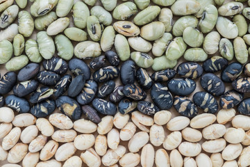 Three natural background made from mixed nut. Closed up.