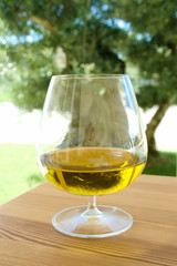Glass of extra virgin olive oil on the wooden table with olive tree on background