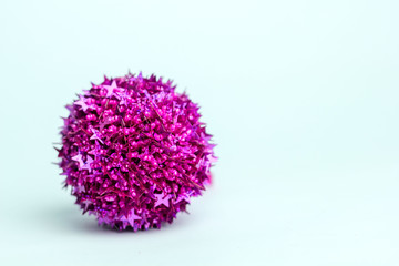 Isolated Christmas Decoration on White Background