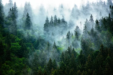 Fototapeten Nebelhafte Berglandschaft © Roxana