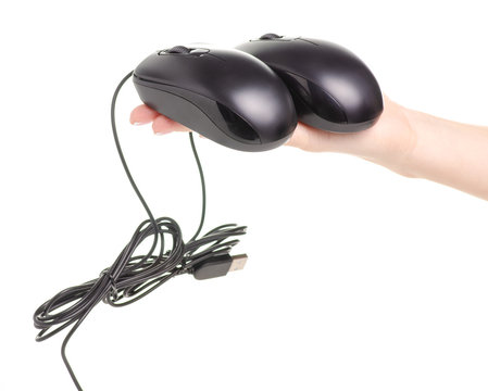 Two computer mice in hand on white background. Isolation.