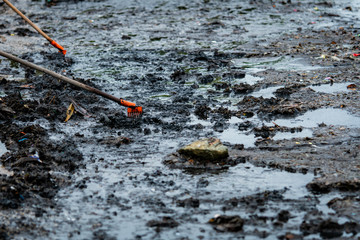 Volunteers use the rake to sweep the trash out of the sea. ฺBeach cleaner collecting garbage on the sea beach. Volunteers cleaning the beach. Tidying up rubbish on beach.