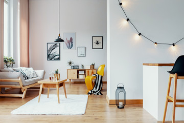 Open space flat interior with posters and lights on the wall, wooden coffee table with cactus and...
