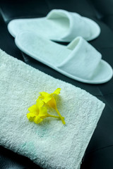 Isolated Bathroom Hotel Amenities, Toiletries