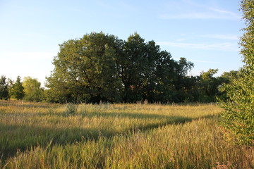 Природа Чардыма