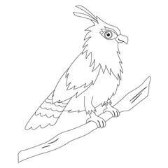 Fototapeta premium Elang Jawa, Javan Hawk Eagle. Bird of Indonesia, cartoon vector. Coloring page for kids template
