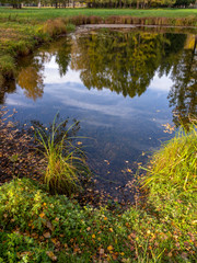 Reflection of autumn in the blue water of the pond