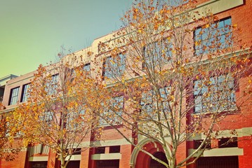 Autumn streetscape in Fremantle, Australia