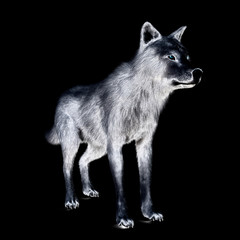 Digital 3D Illustration of a Wolf