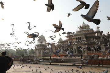 Albert hall Jaipur 