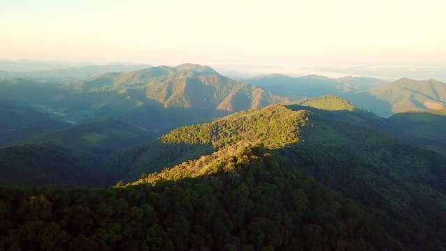 4K Footage on Sunrise Landscape nature flower Tung Bua Tong Mexican sunflower field in Maehongson (Mae Hong Son),Thailand.