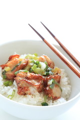 Chinese food, chicken and scallion stir fried