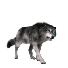Digital 3D Illustration of a Wolf