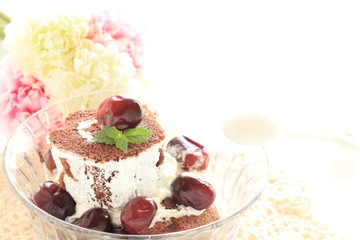 Grape and chocolate swiss roll for gourmet dessert image