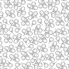 Camphor. Berries. Wallpaper, seamless. On a white background. Sk