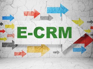 Business concept:  arrow with E-CRM on grunge textured concrete wall background, 3D rendering