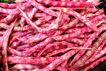 Close Up  of beautiful and colorful organic fresh red cranberries, borlotti beans. Selling pods beans at Farmers' Markets in Bolzano, Italy. 