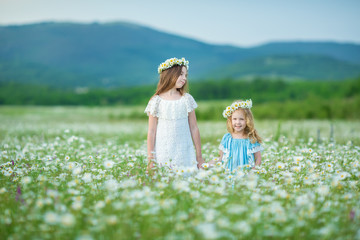 two happy girls in field. Sisters enjoy summer time vacation in village