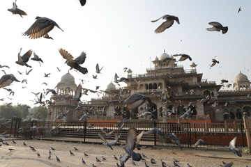 Albert hall Jaipur 