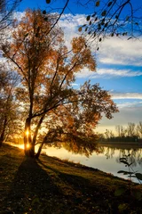 Foto auf Leinwand Herbstlandschaft am Wasser © marcus_hofmann
