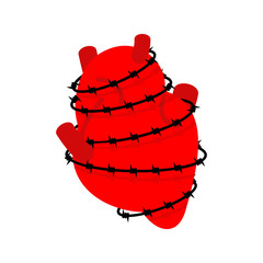 Heart and barbed wire. Sick Internal organs Human anatomy. Metaphor of problems and reduced health. pain medical health care concept