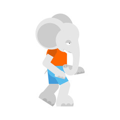 Elephant boy in clothes. Animal Baby Vector Illustration