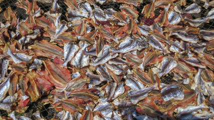 close up of salted dried fish at Phatthalung, Thailand