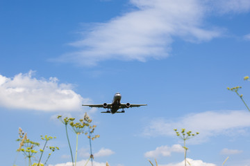 the plane against a blue sky and grass is landing
